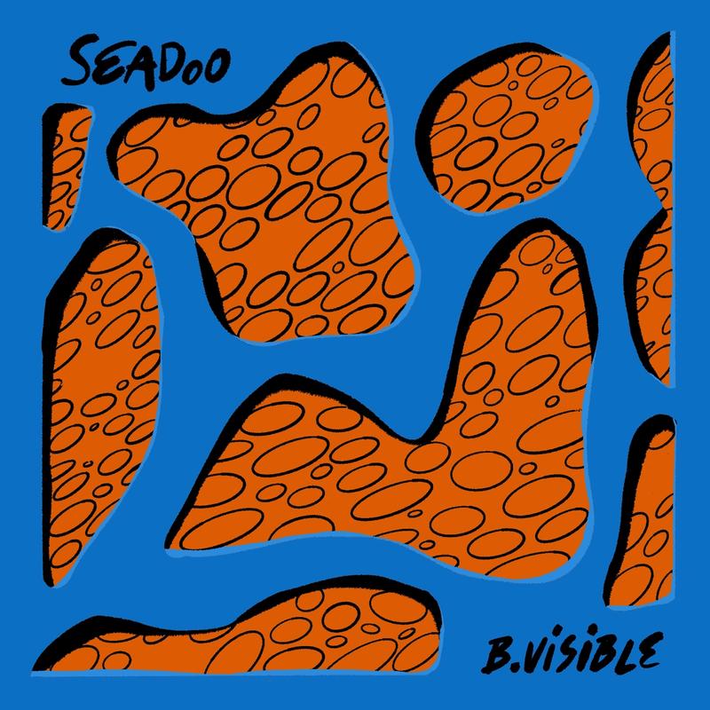Seadoo Artwork blue orange for bvisible. 