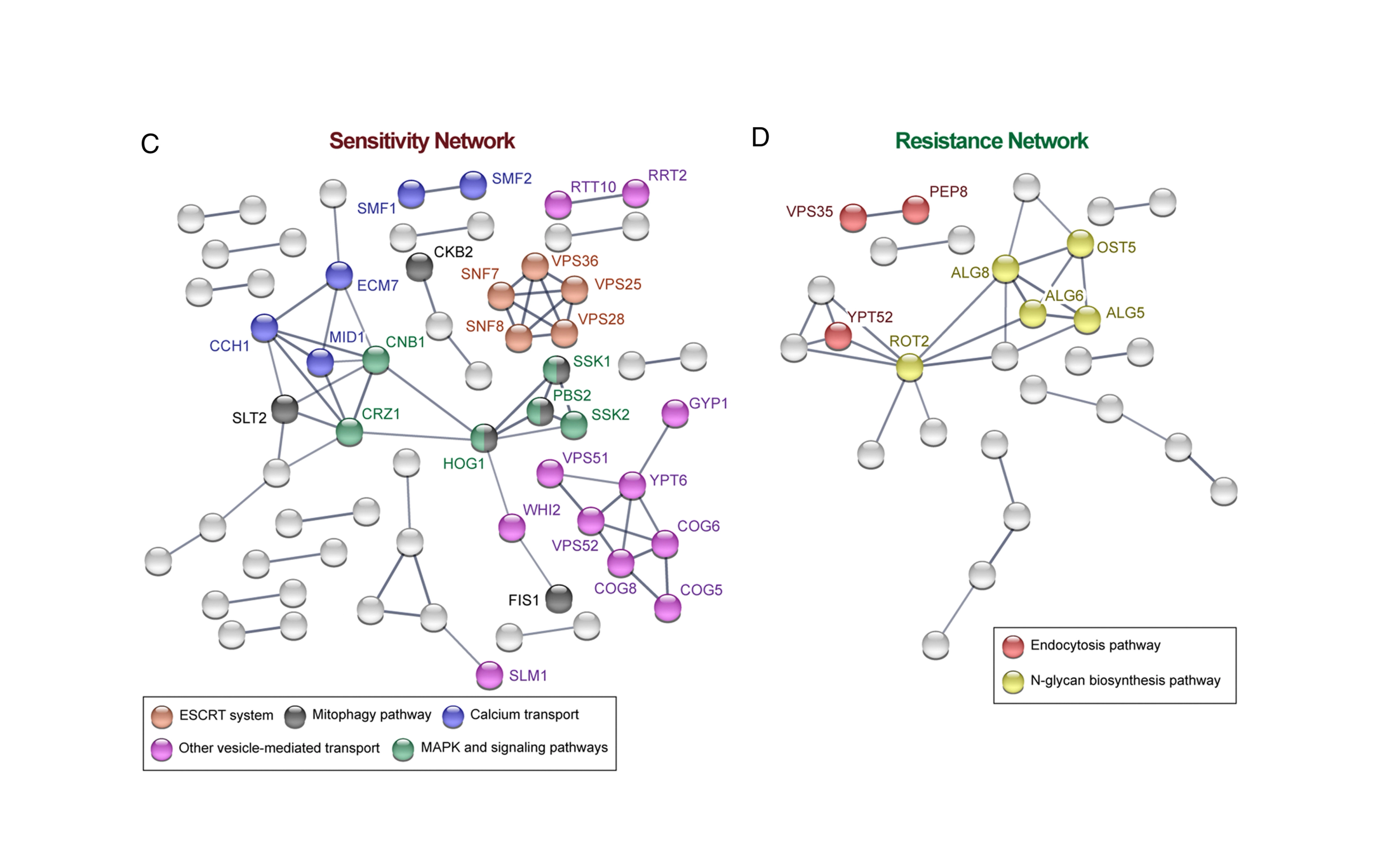 New research details toxicity mechanisms of the lanthanides