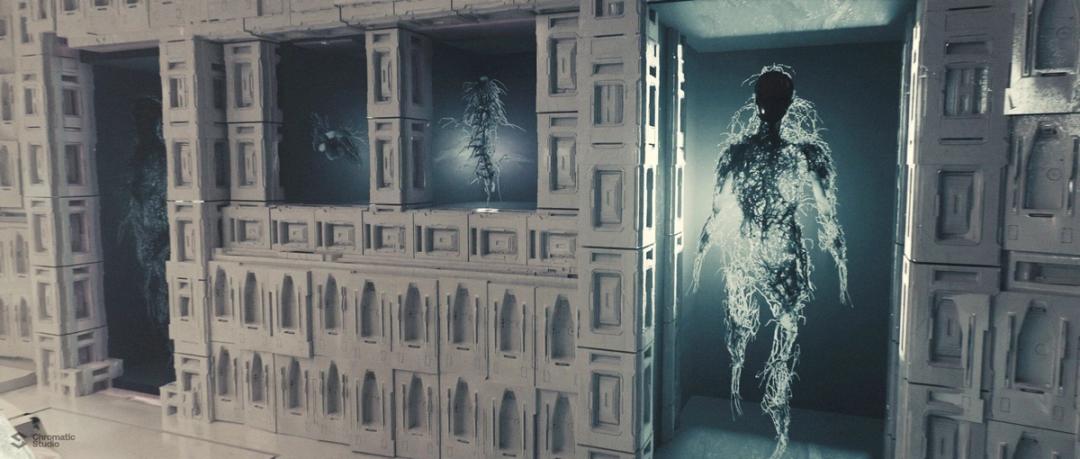 PDS Sisterhood Morgue v021 001 TR 1 scaled