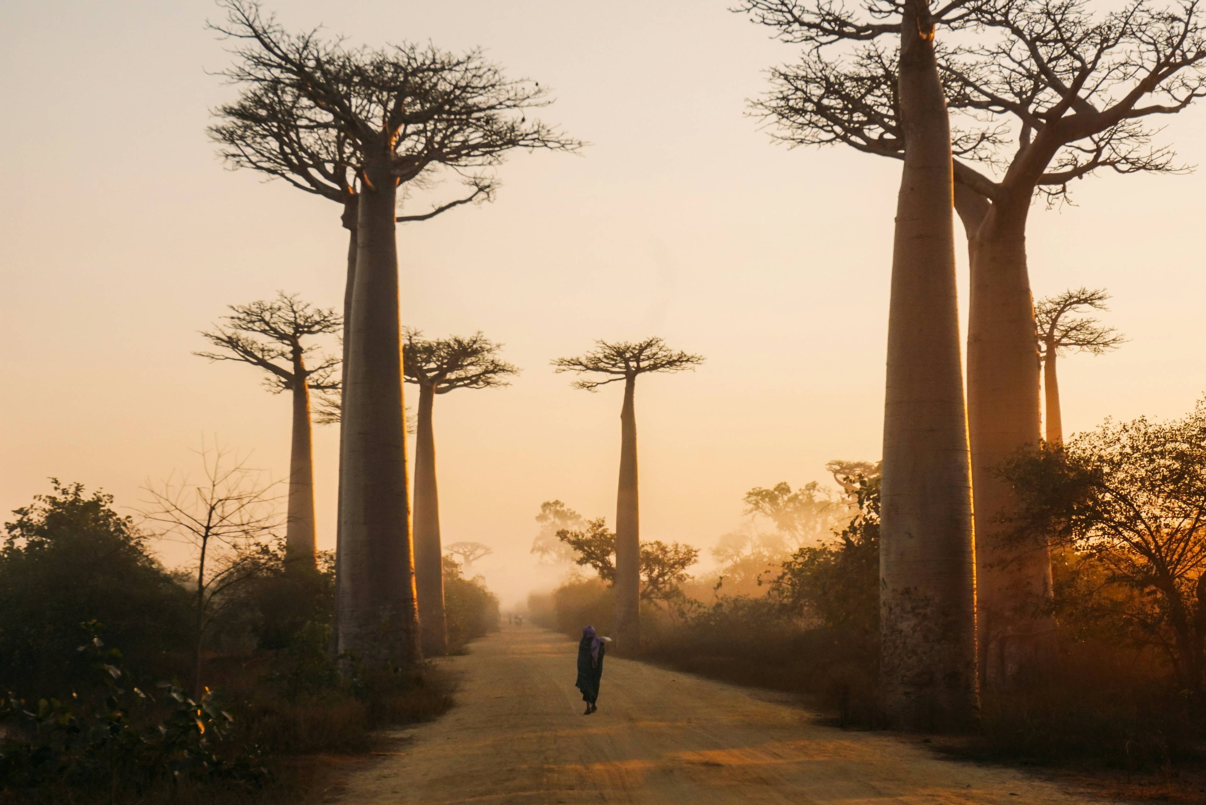 Madagaskar - foto: Yasmine Arfaoui