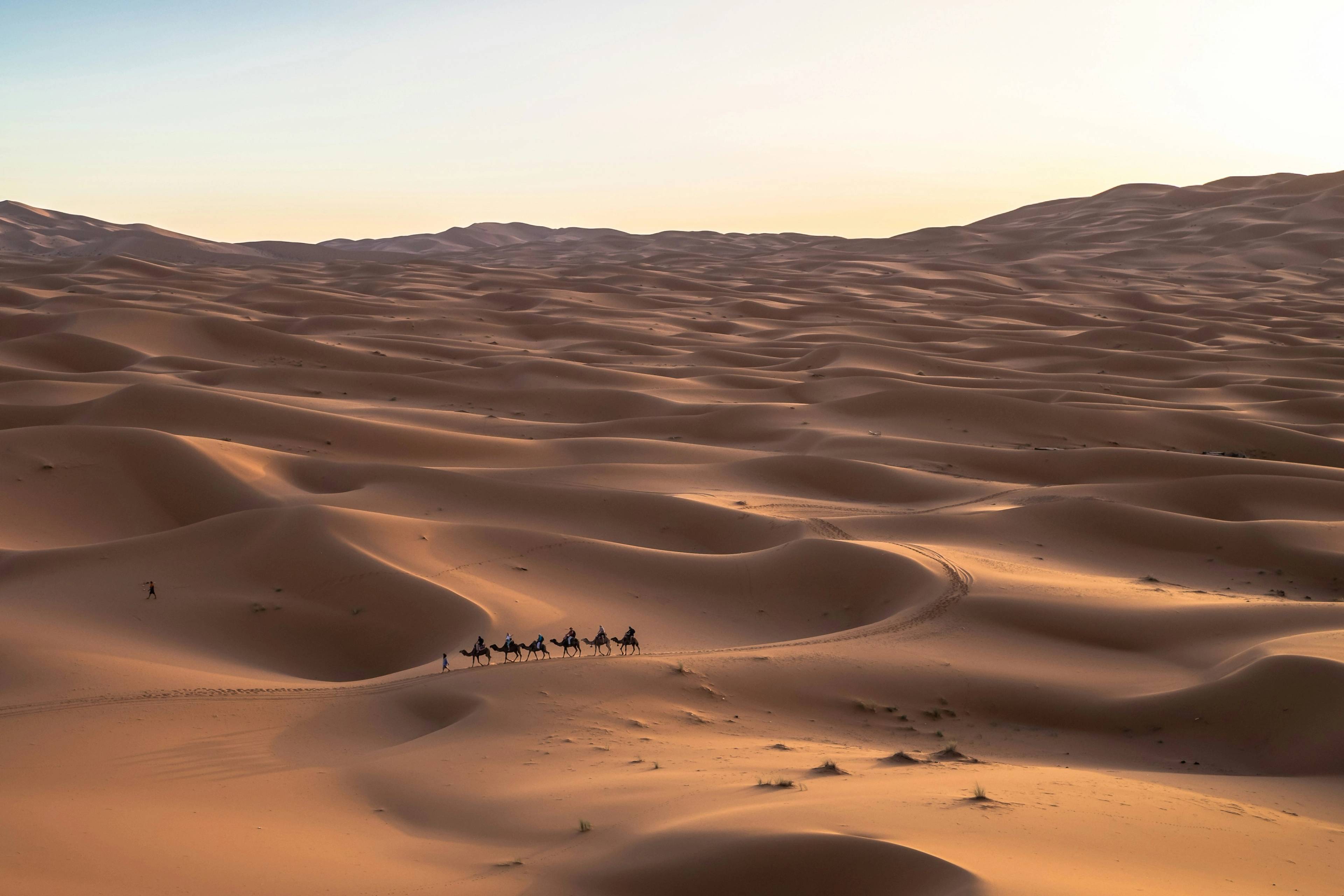Saudijska Arabija - foto: Jeff Jewiss