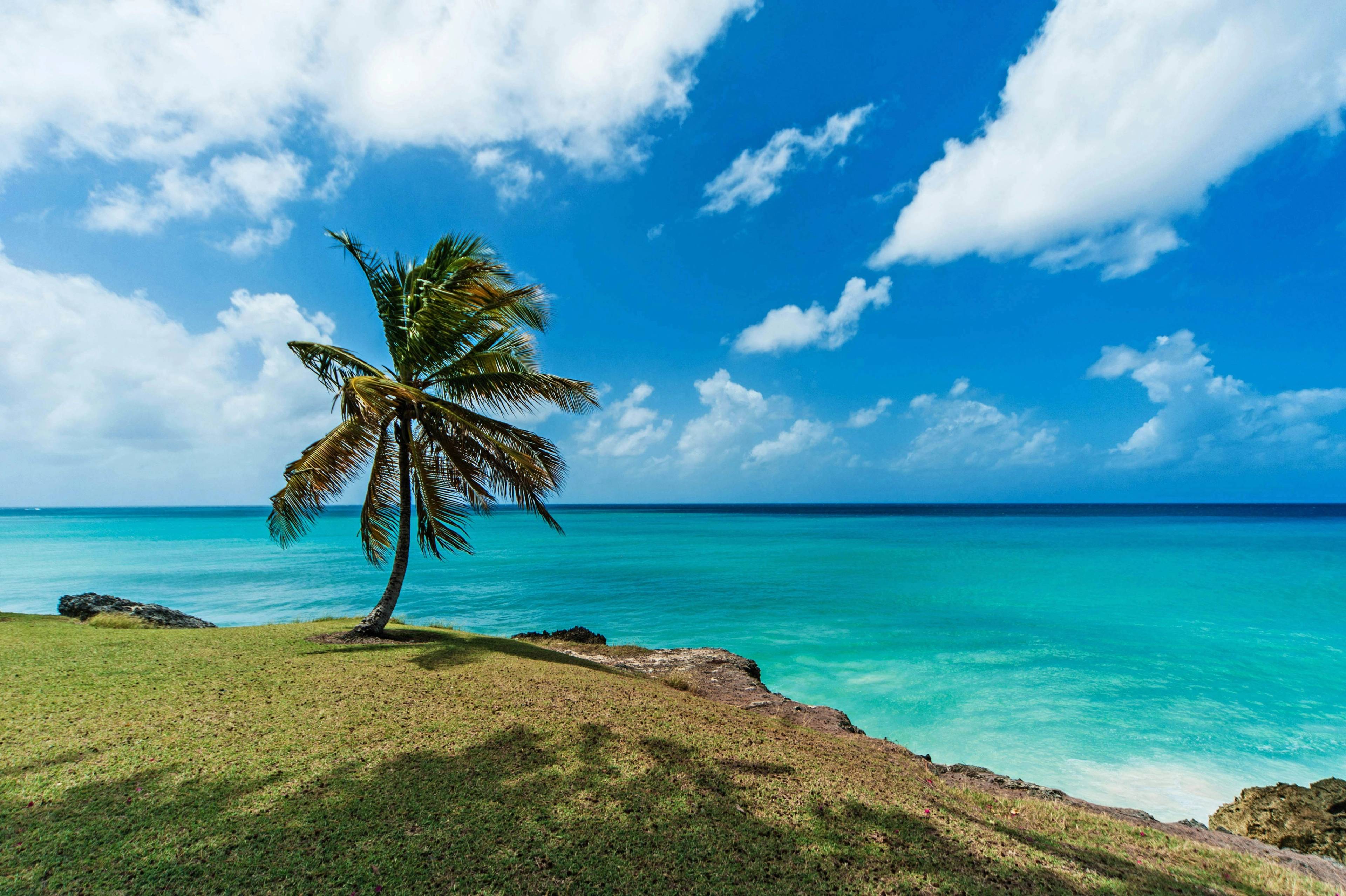 Barbados - foto: Tom Jur