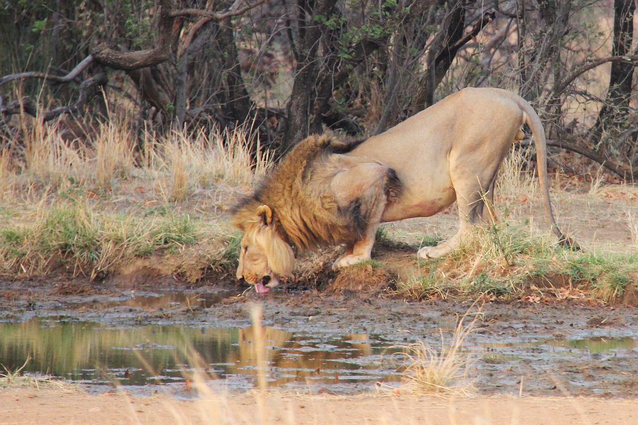 Johannesburg, South Africa
