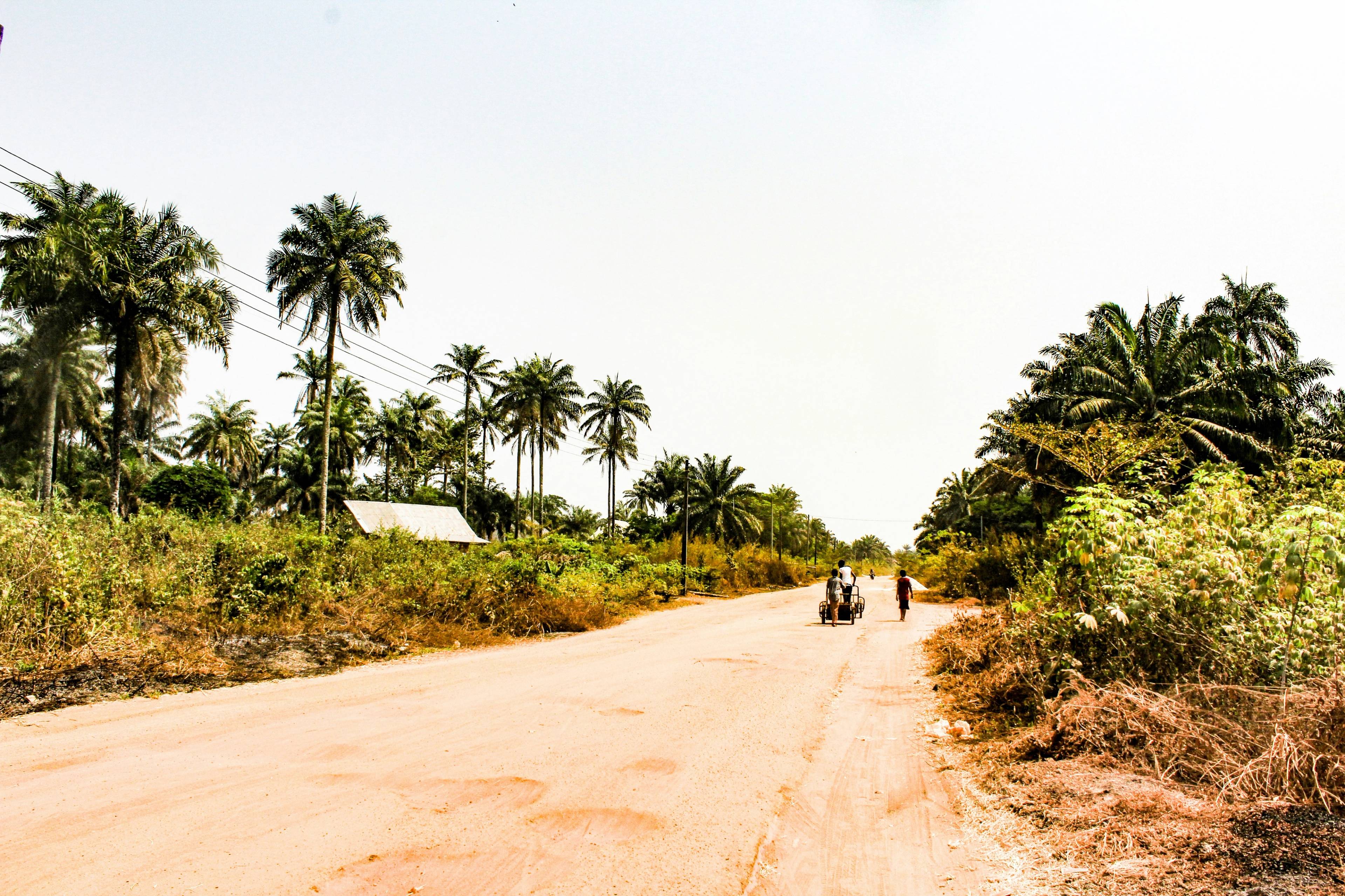 Nigerija - foto: Nnaemeka Ugochukwu
