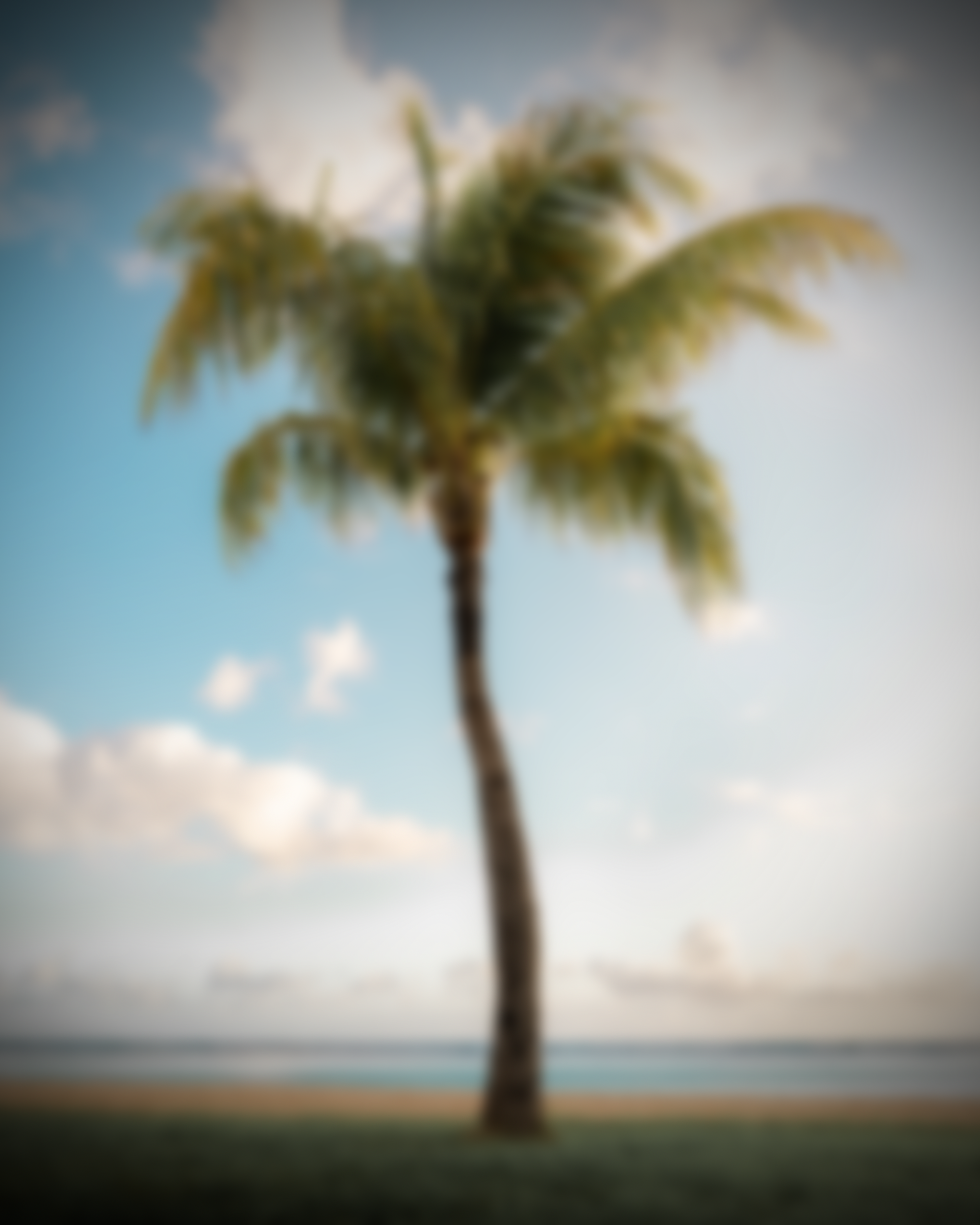 Egzotična Putovanja