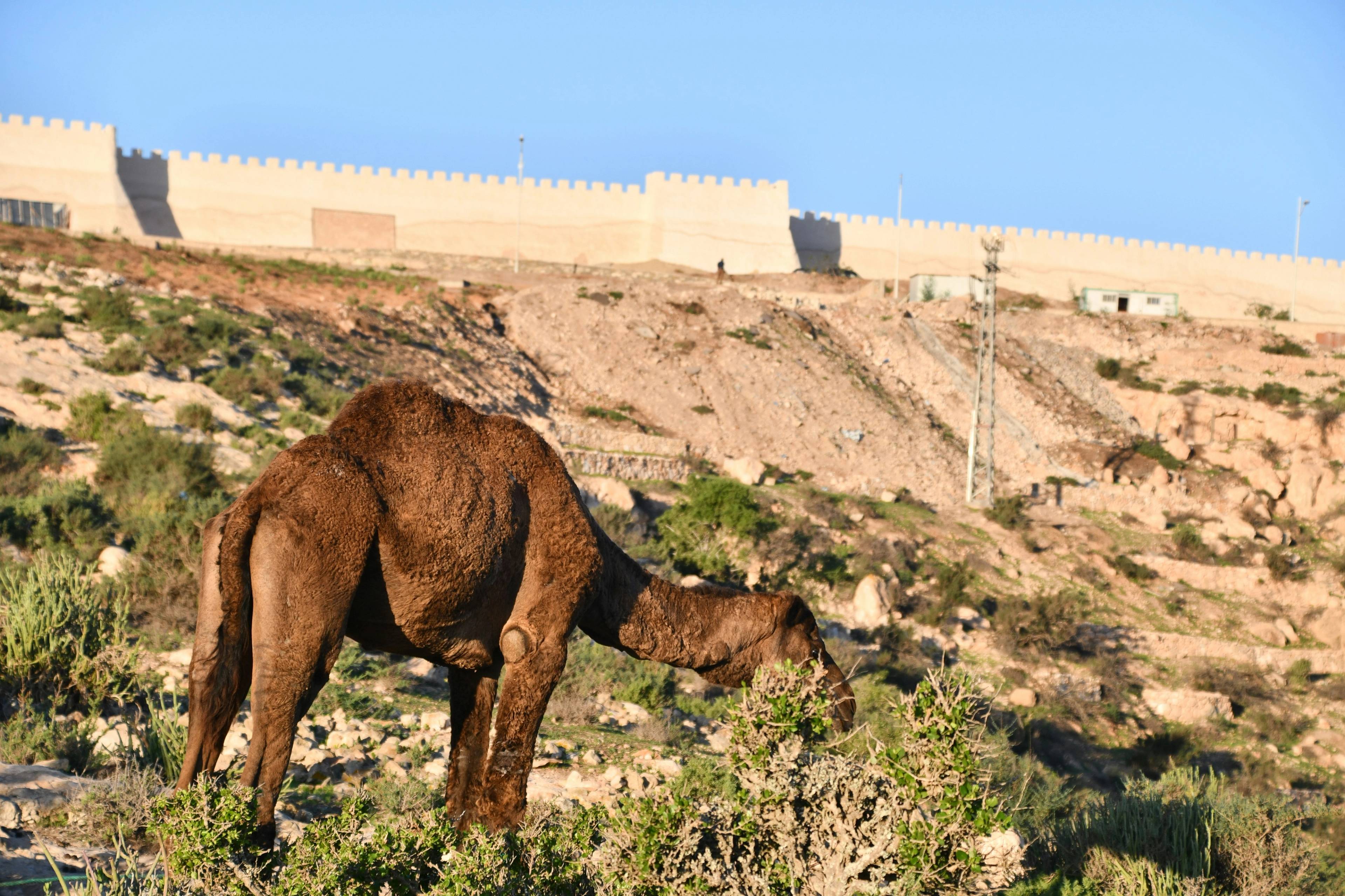 Panoramski prikaz destinacije Agadir, Maroko