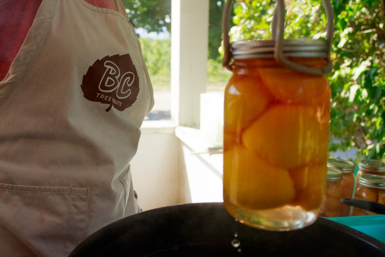 Sterilize jars