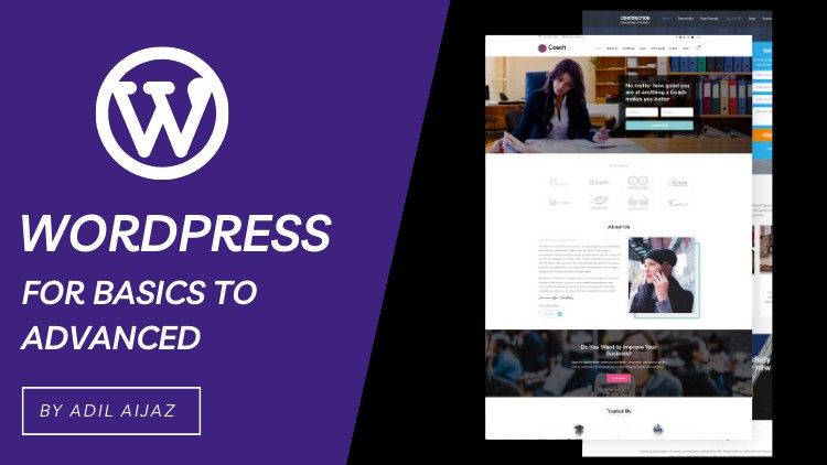 Comprehensive WordPress MCQs: From Basic to Advanced