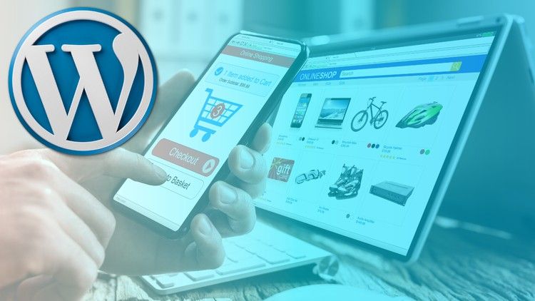 Advanced Wordpress Course for Professionals 