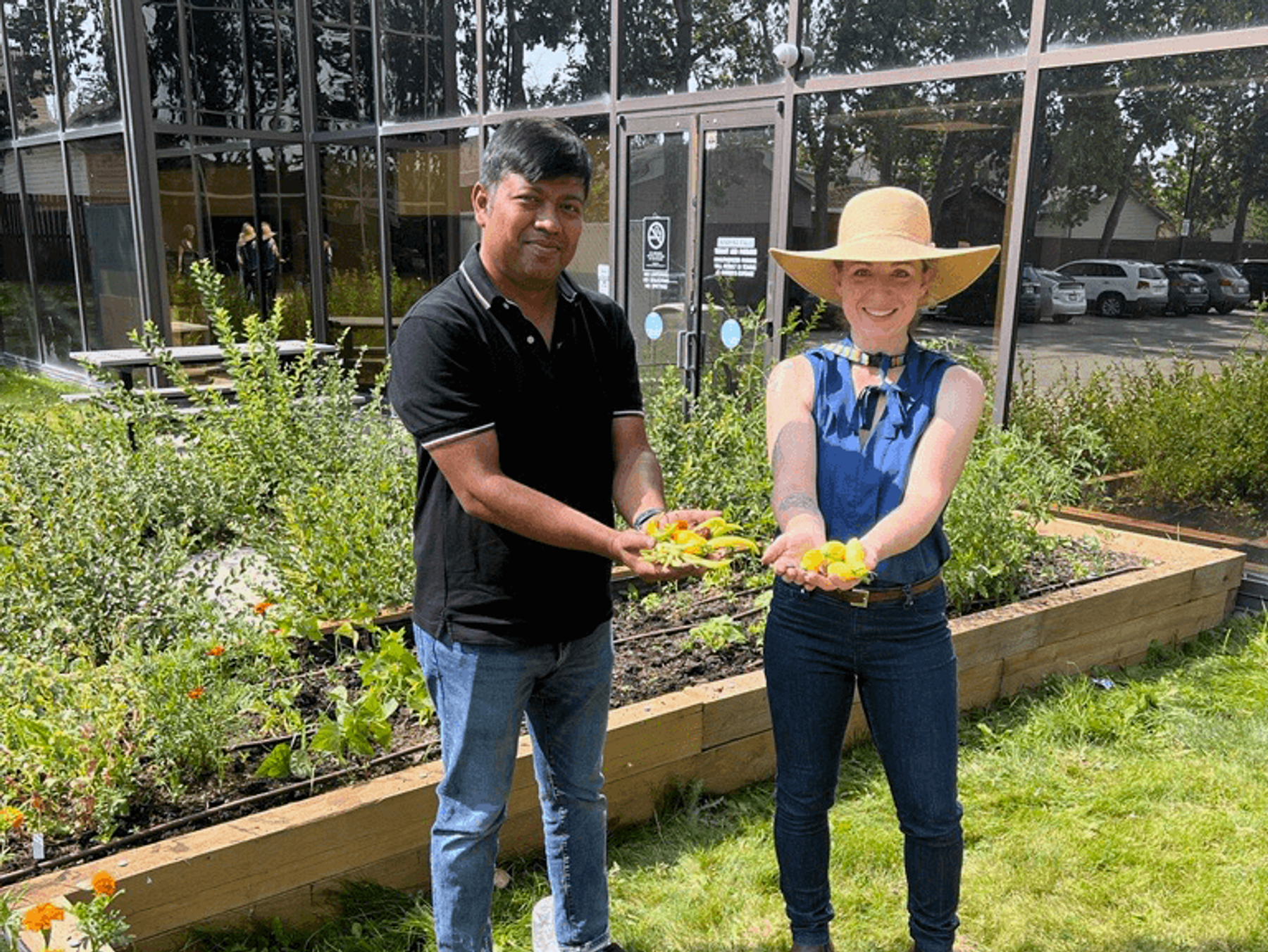 A man in a black shirt and a woman in a blue shirt and wide-brimmed hat show off vegetables picked from a community garden.