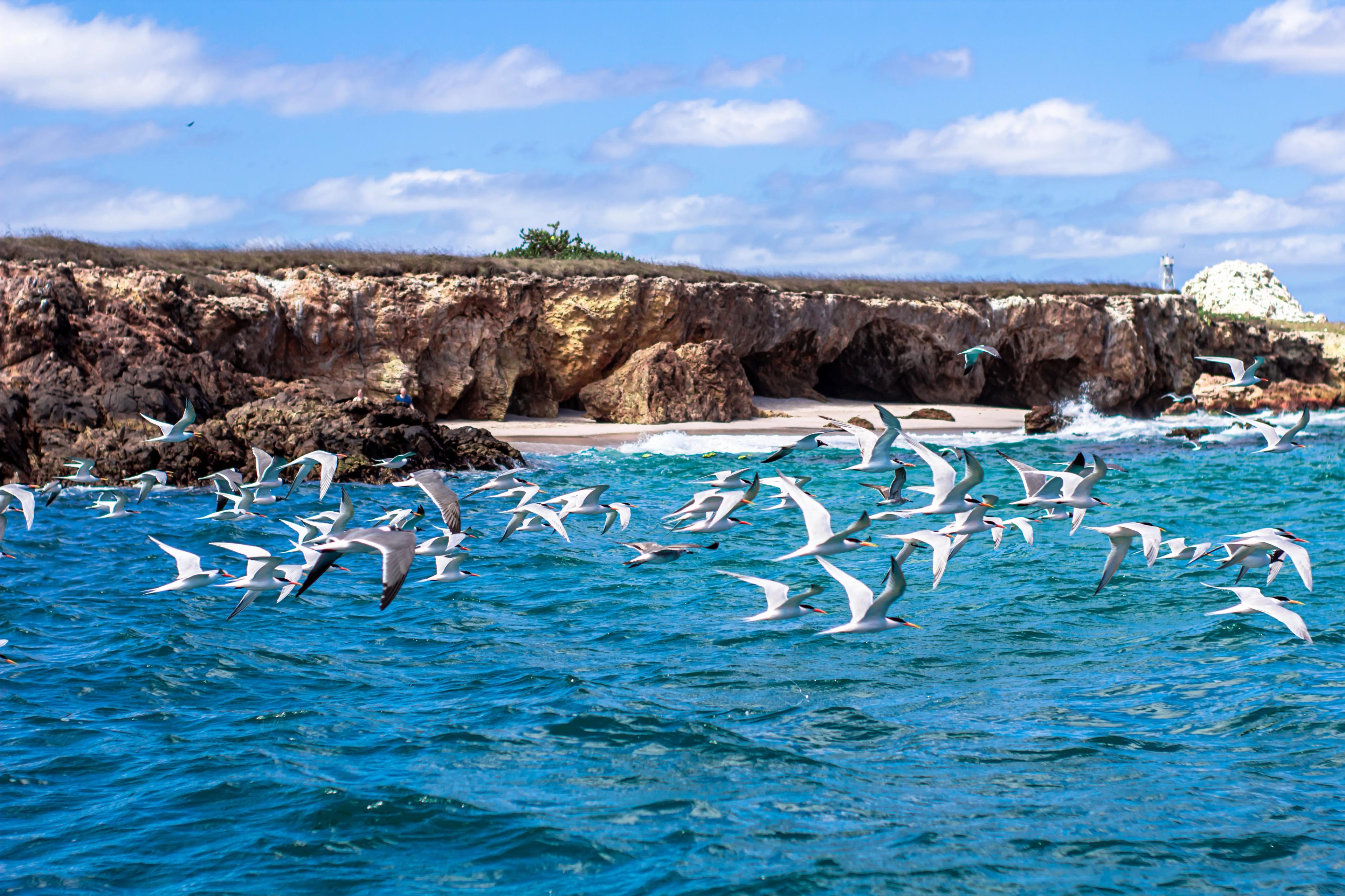 Islas Marietas