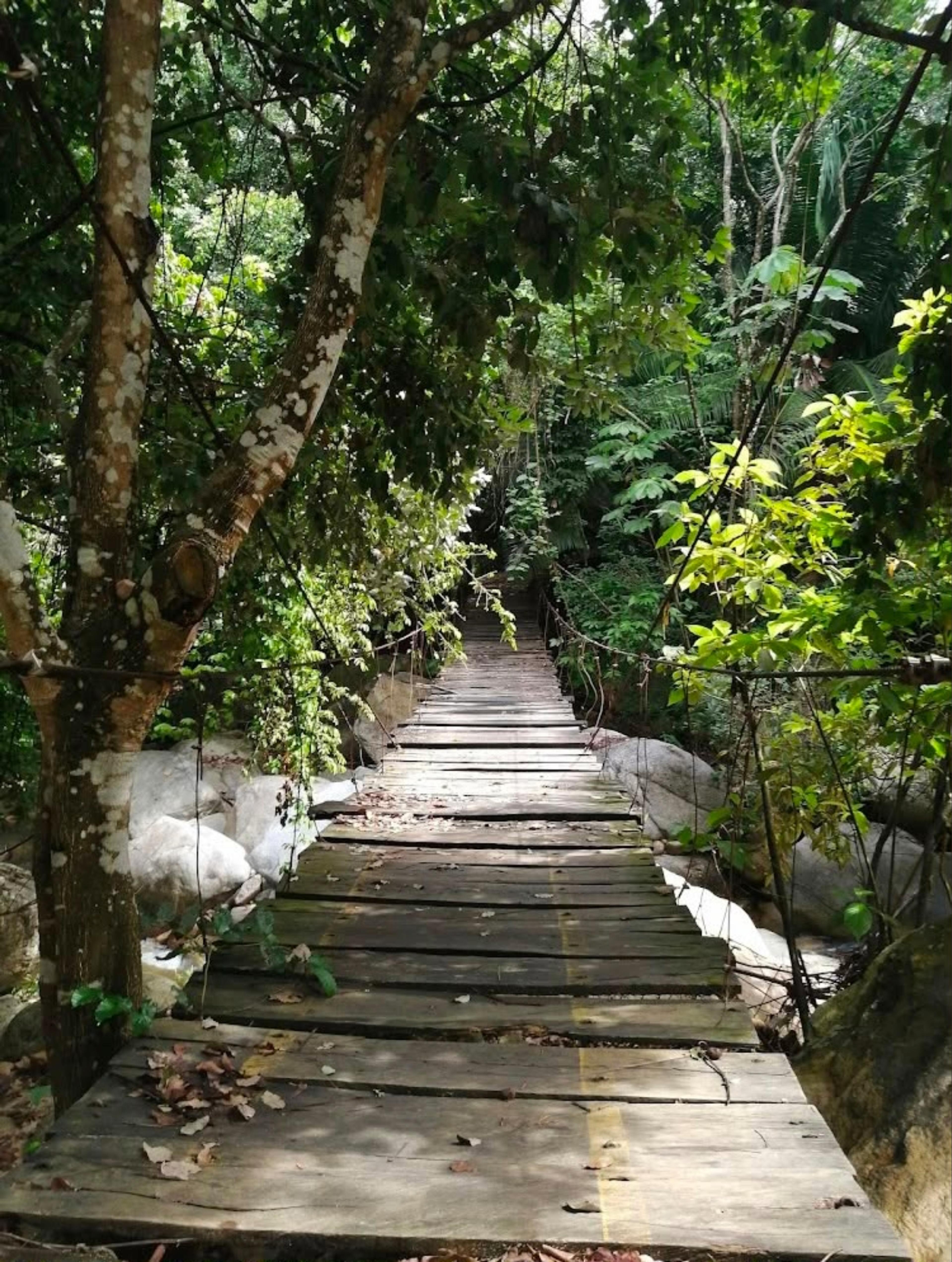 Puente colgante