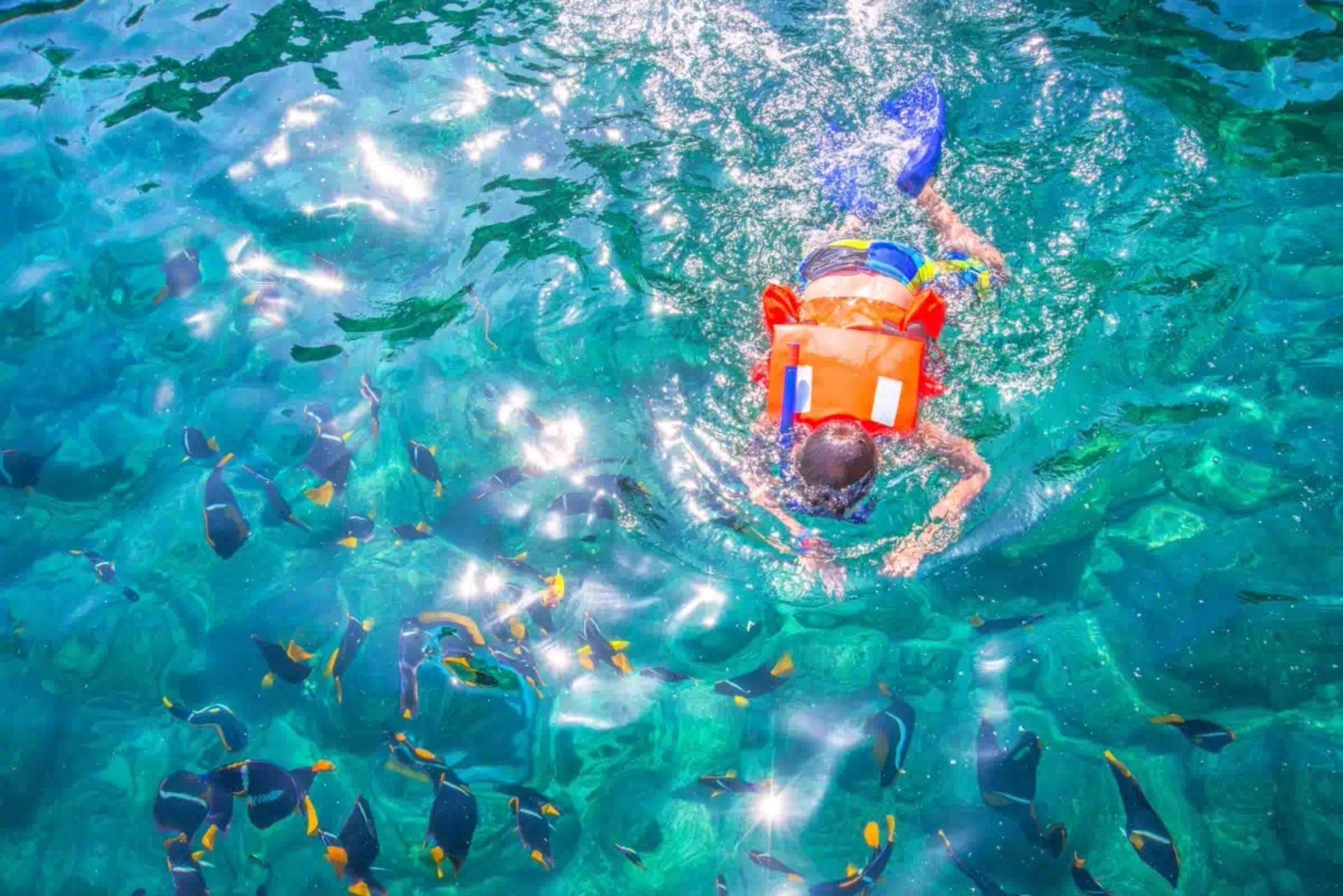 Snorkel