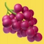 Icon for item