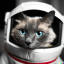Icon for item