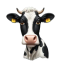 Icon for item