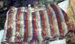 A photo of Multi-colored swim shorts the decedent was found wearing