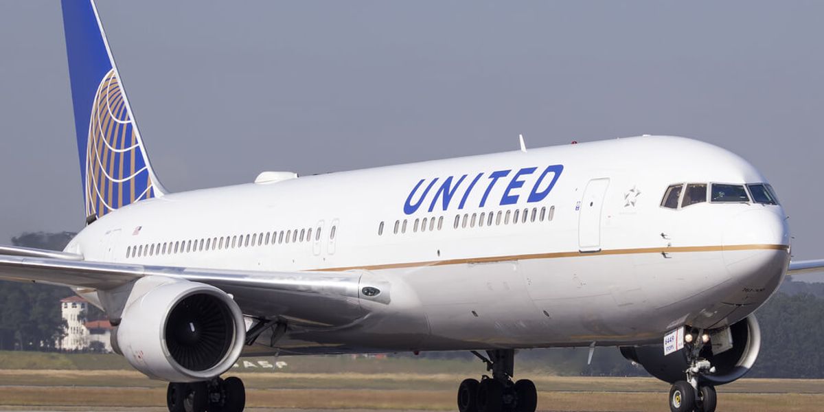 United Airlines-ийн онгоц Койот чонын улмаас Чикагод буцаж буужээ