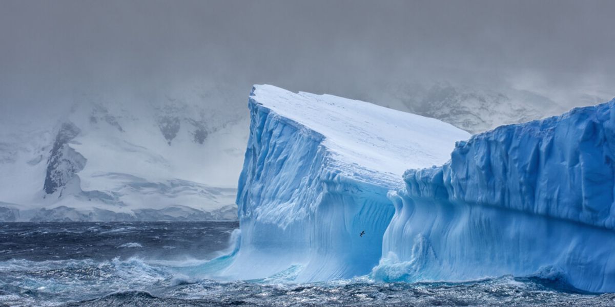 Дэлхийн хамгийн том мөсөн уул хөвсөөр задгай далайд гарчээ