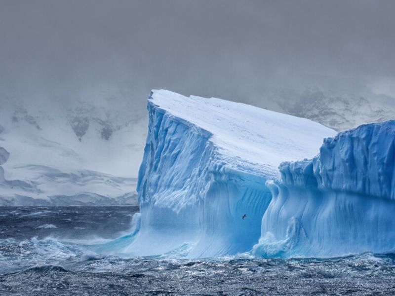Дэлхийн хамгийн том мөсөн уул хөвсөөр задгай далайд гарчээ