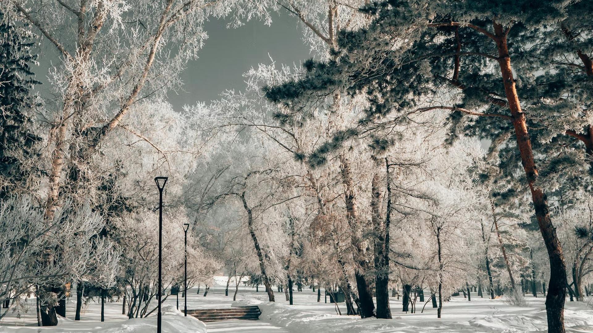 Новосибирск