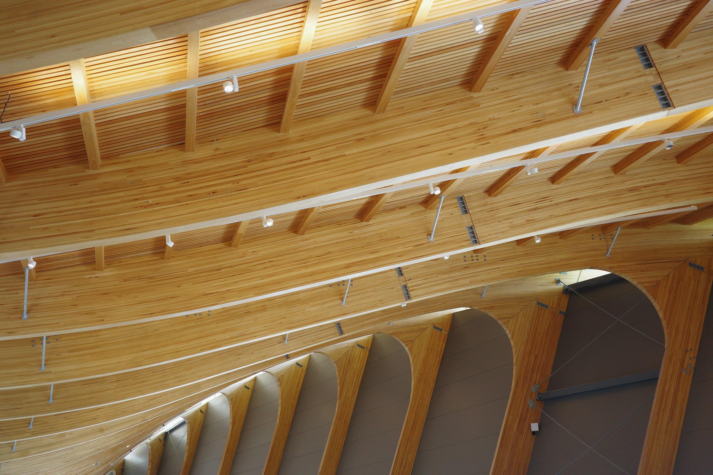 Curved timber beams forming a ceiling structure