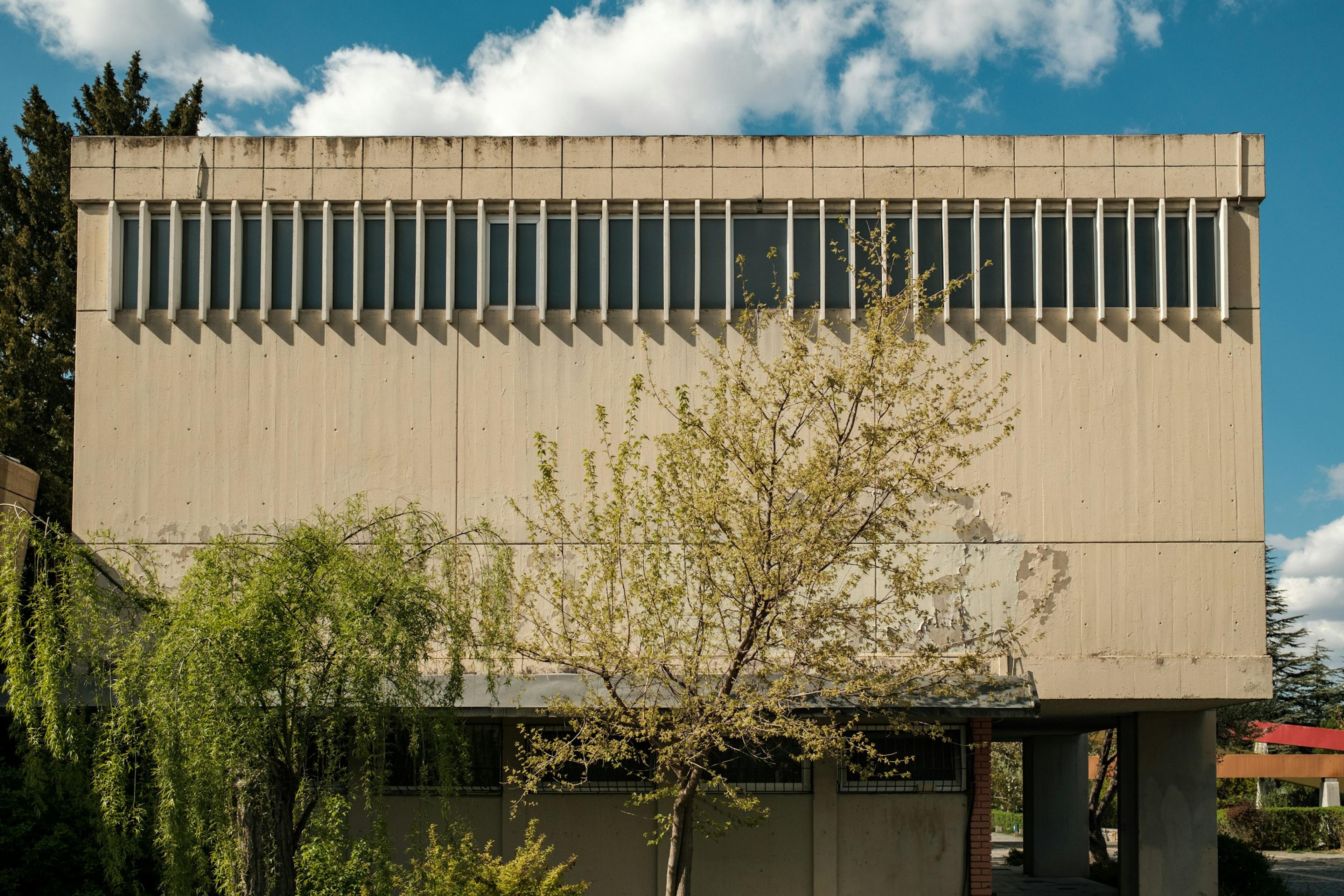 Rectangular beige building with vertical windows and spring trees