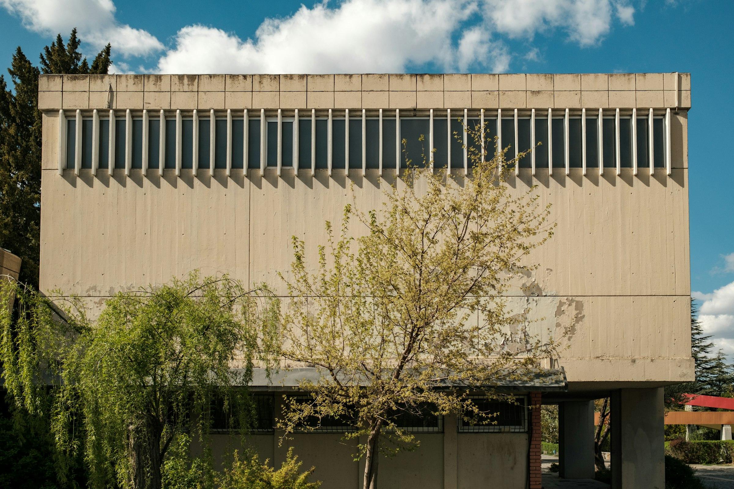 Rectangular beige building with vertical windows and spring trees