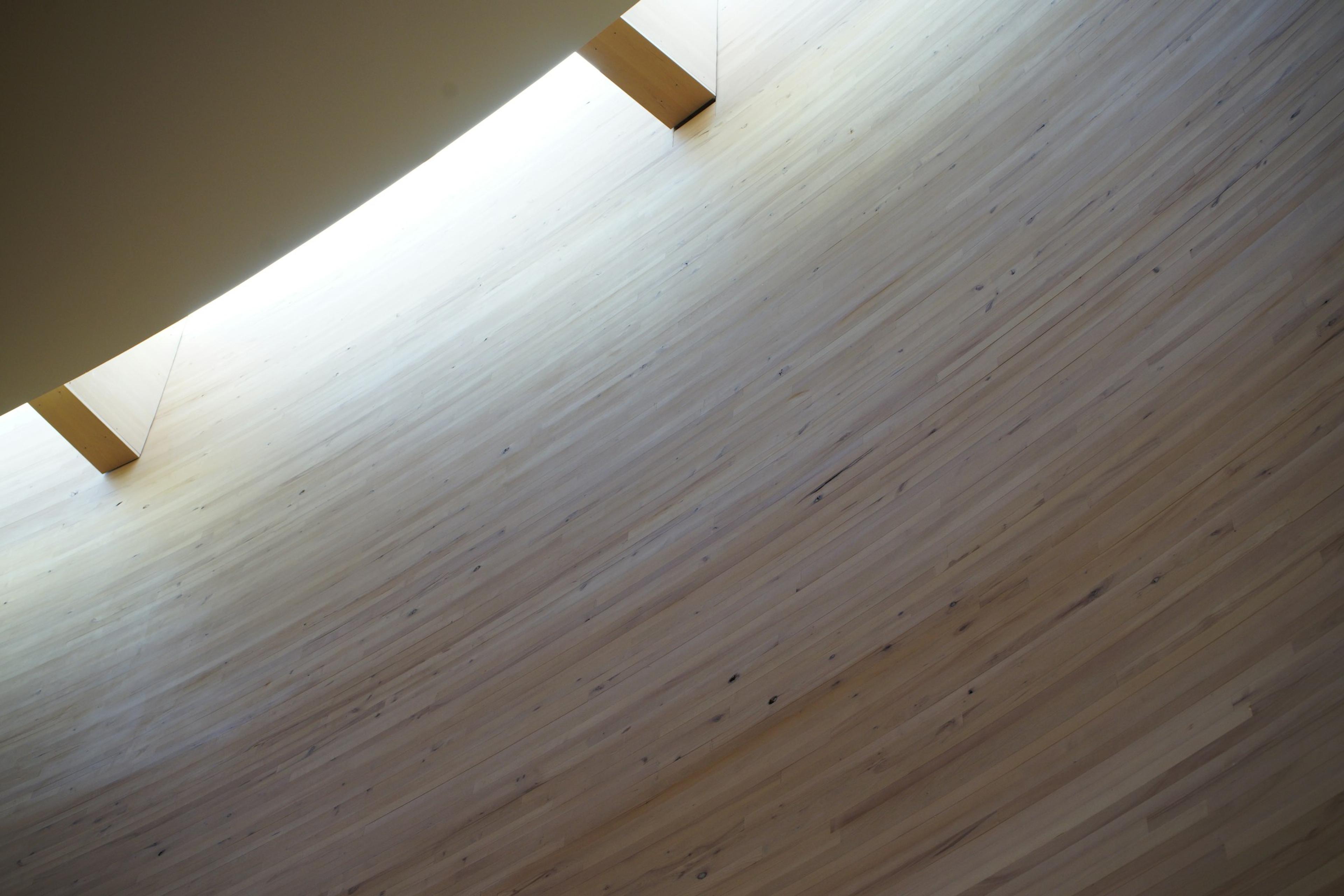 Curved timber wall lit by natural light