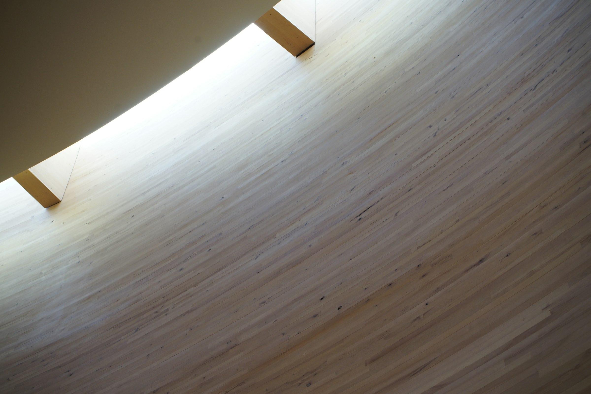 Curved timber wall lit by natural light