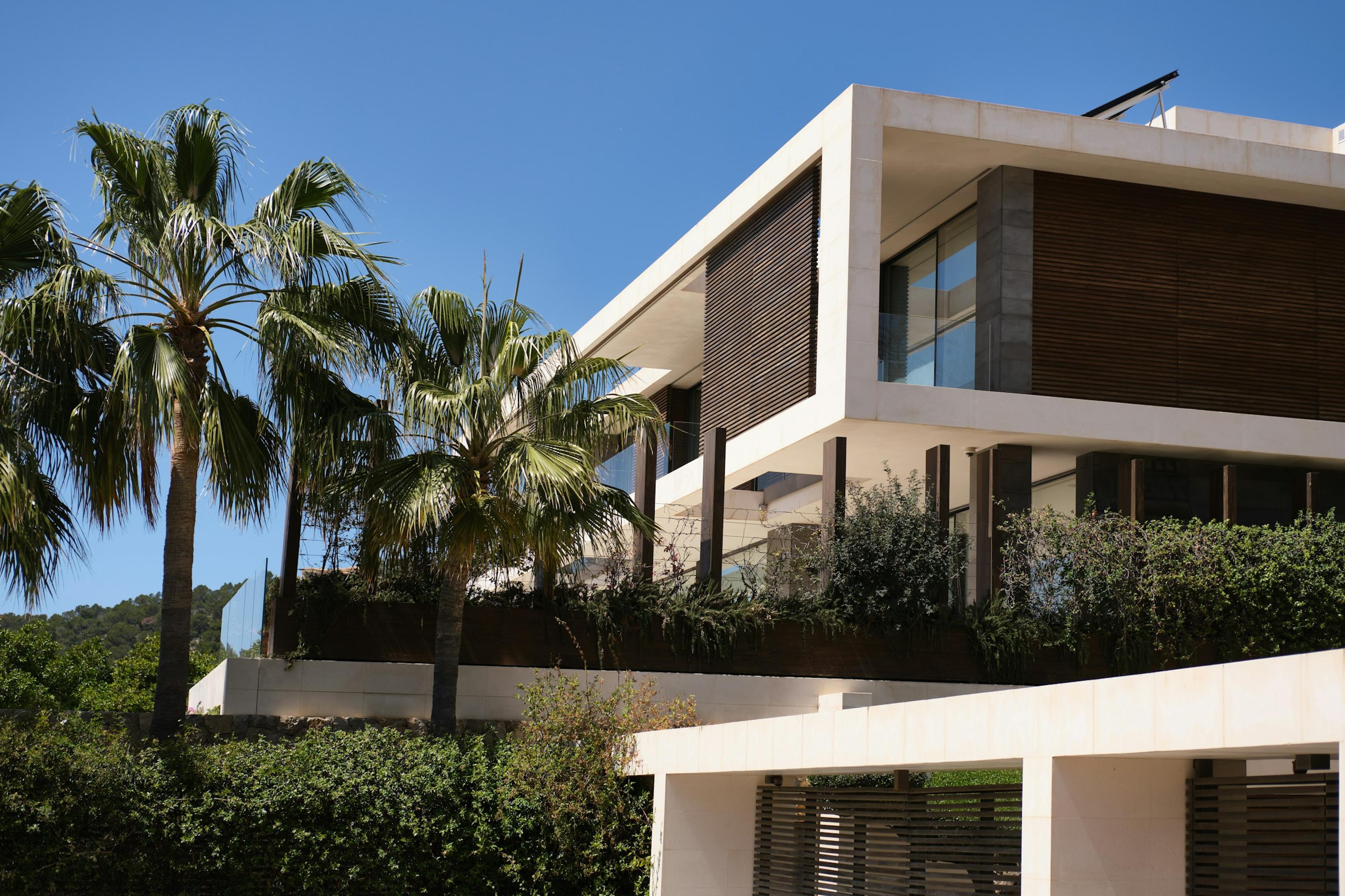 A low modern house among palm trees