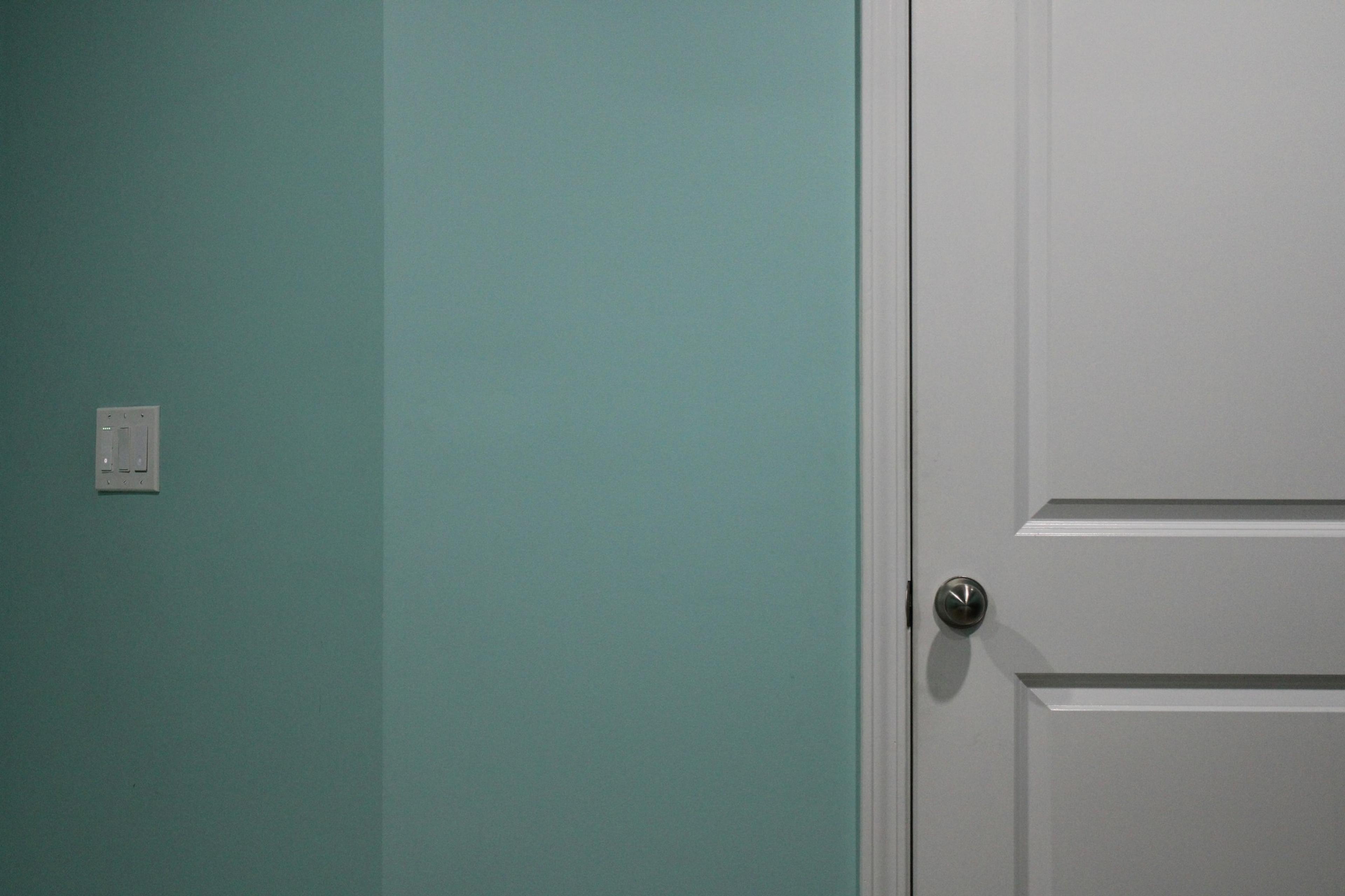 White timber door with a slim silver lever handle