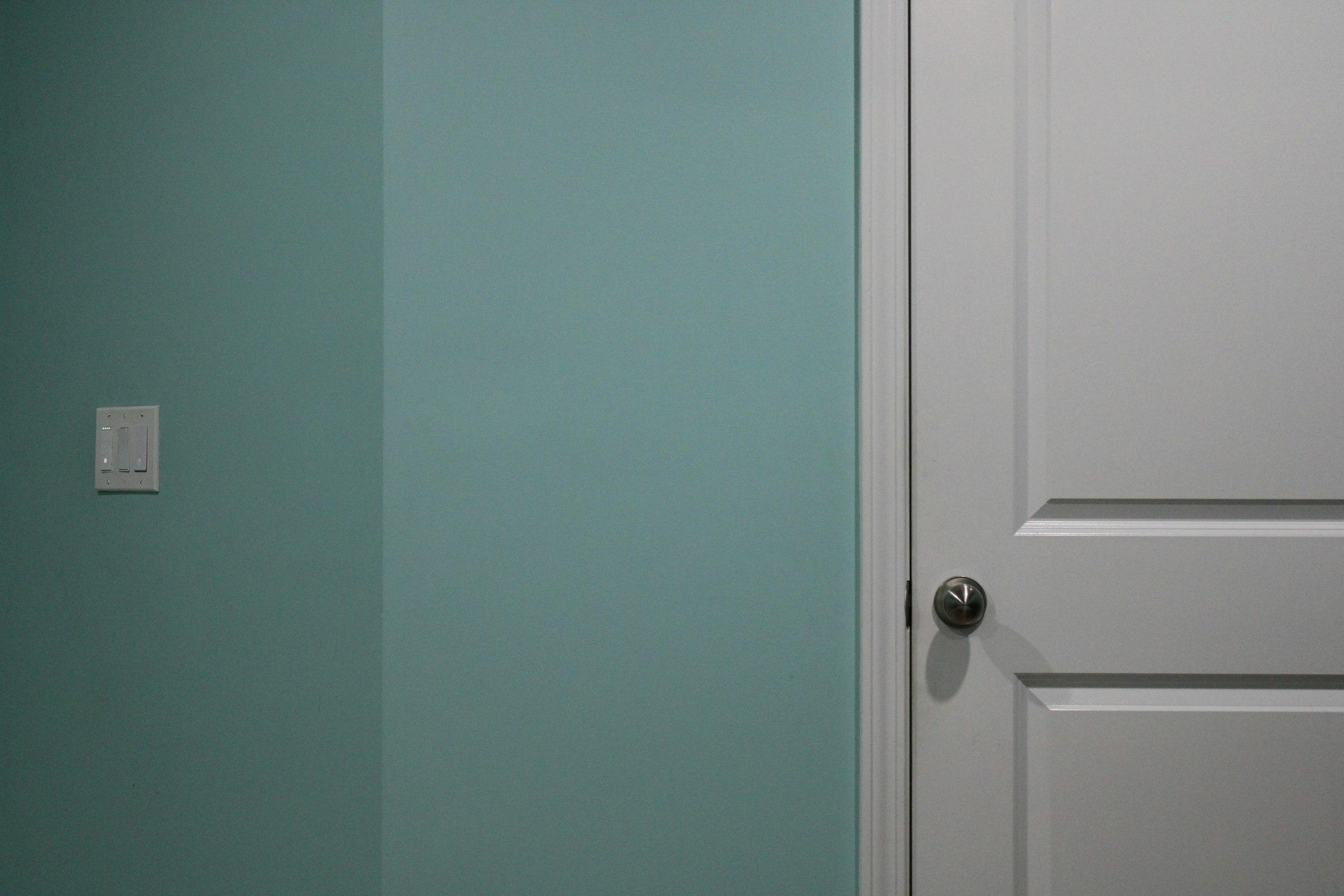 White timber door with a slim silver lever handle