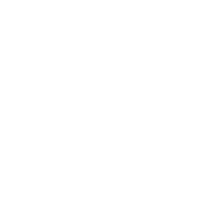 2020 Innovation in Parking Operations and Programs Award