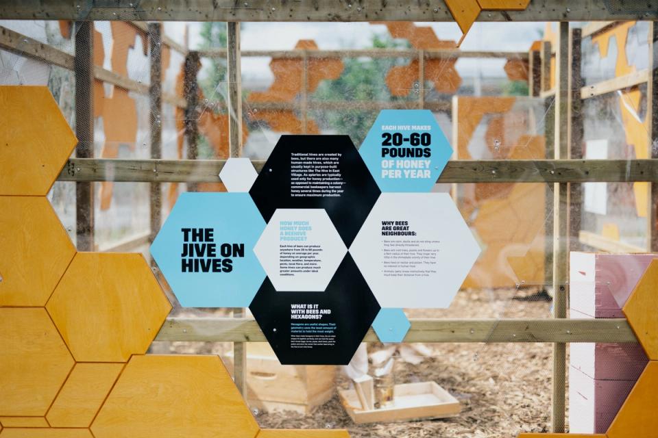 A photograph of the hive.