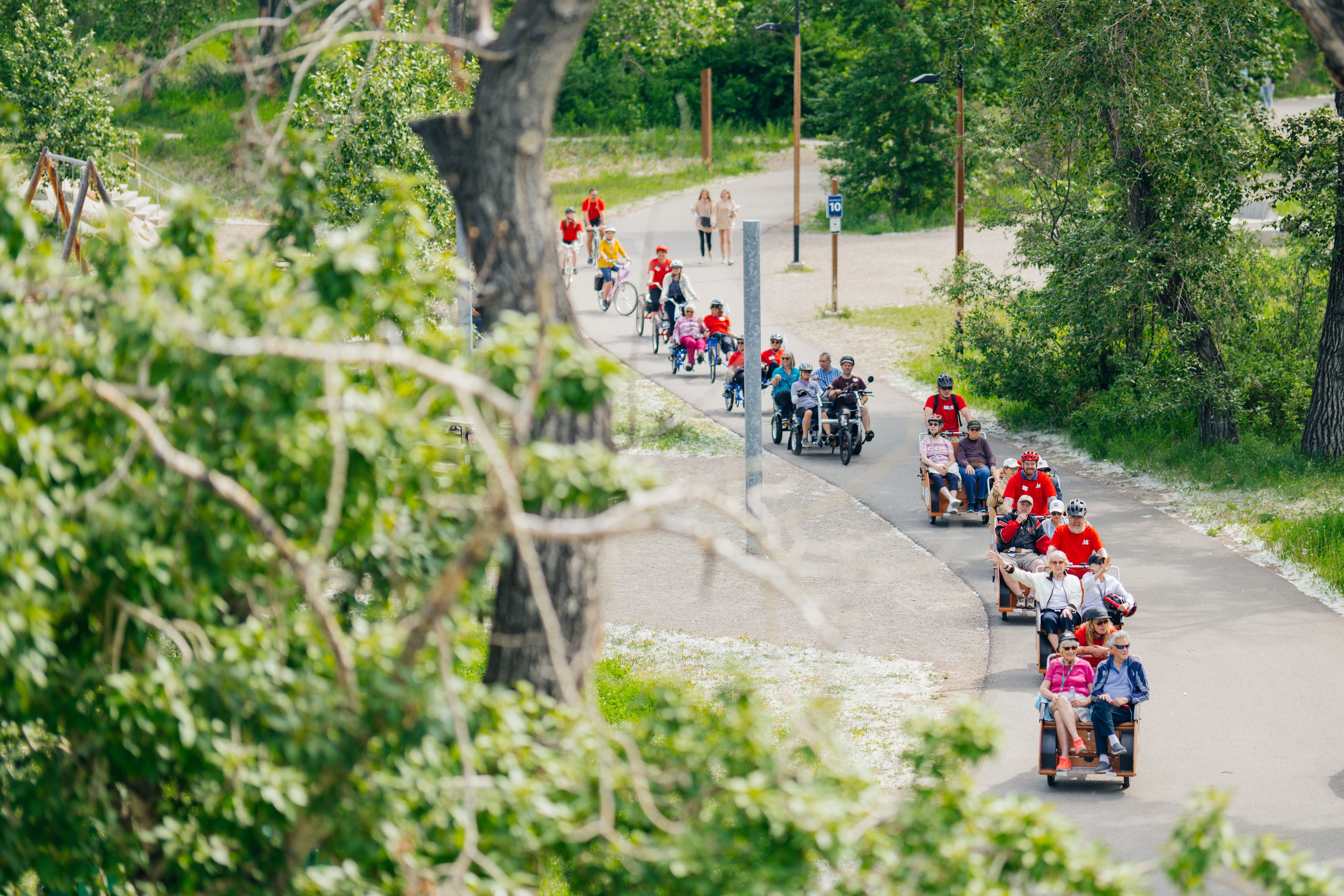 Line of trishaw bikes with volunteer cyclists in red shirts taking seniors for rides along a tree-lined pathway, viewed through green foliage