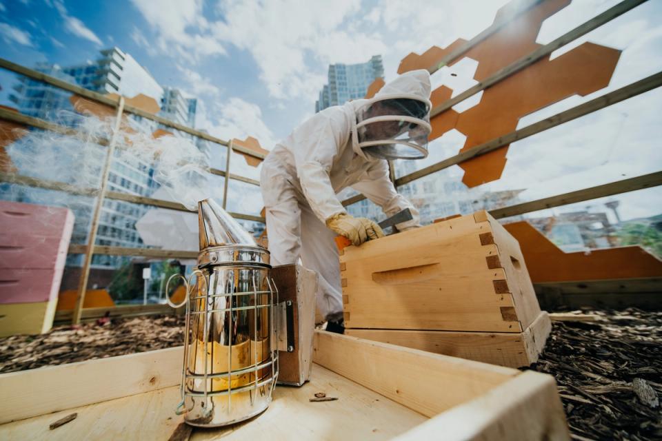 A photograph of the Hive