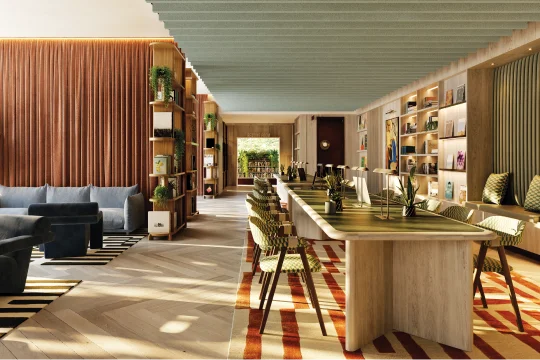 Co-working floor with long timber desks and bookshelves