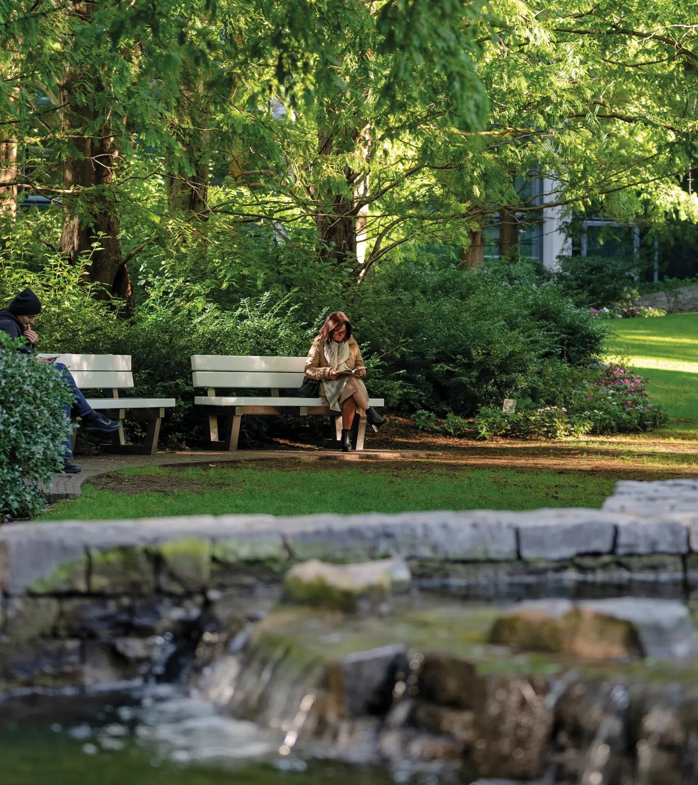 Shaded park bench beside a rockery waterfall