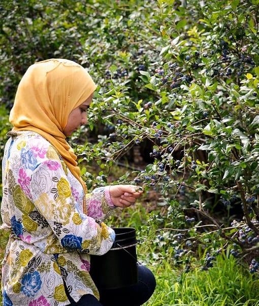 A Productive Ramadan When You Can’t Fast