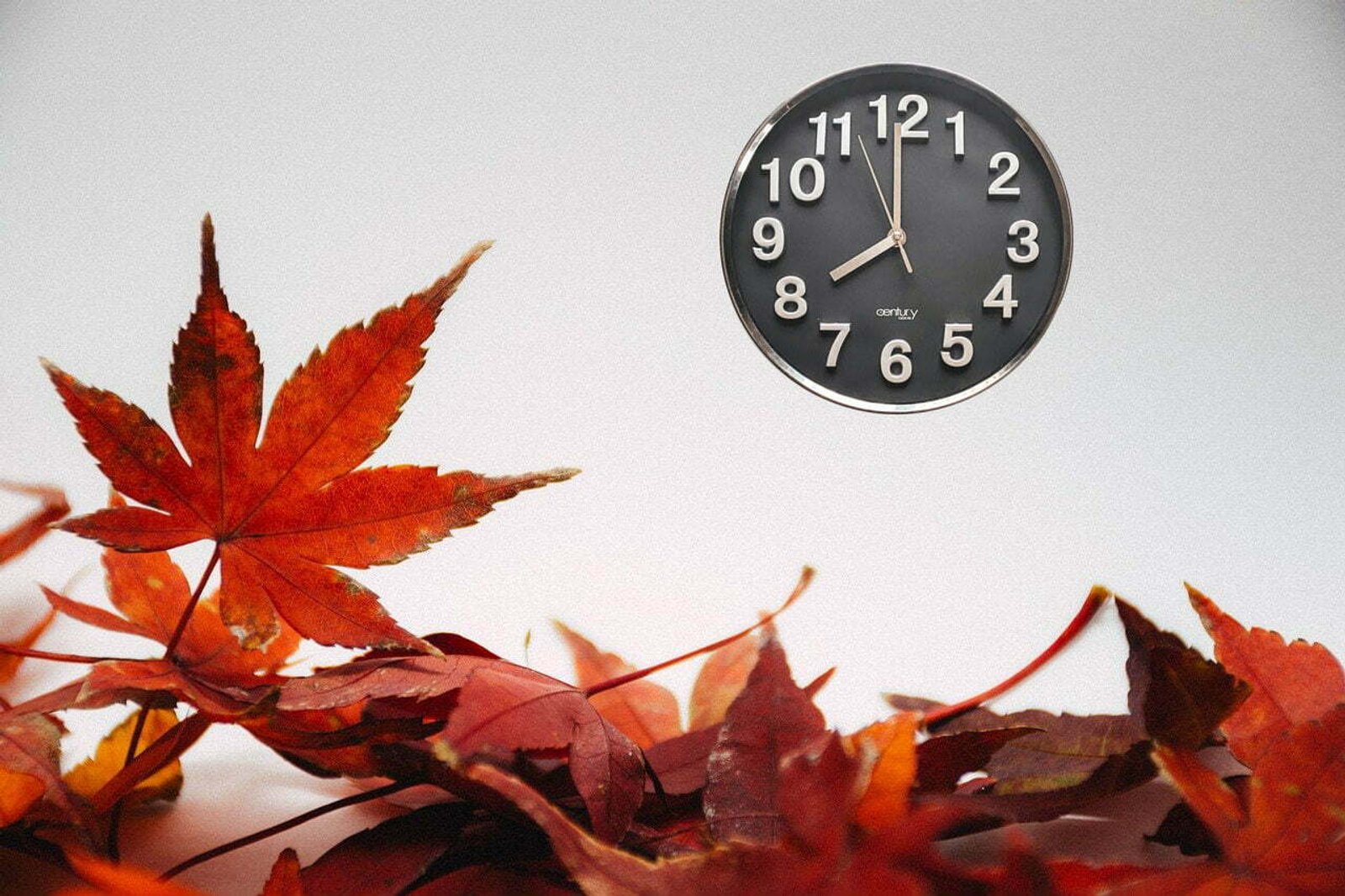 Adjusting to Fall-back time: A Professional Muslim Perspective