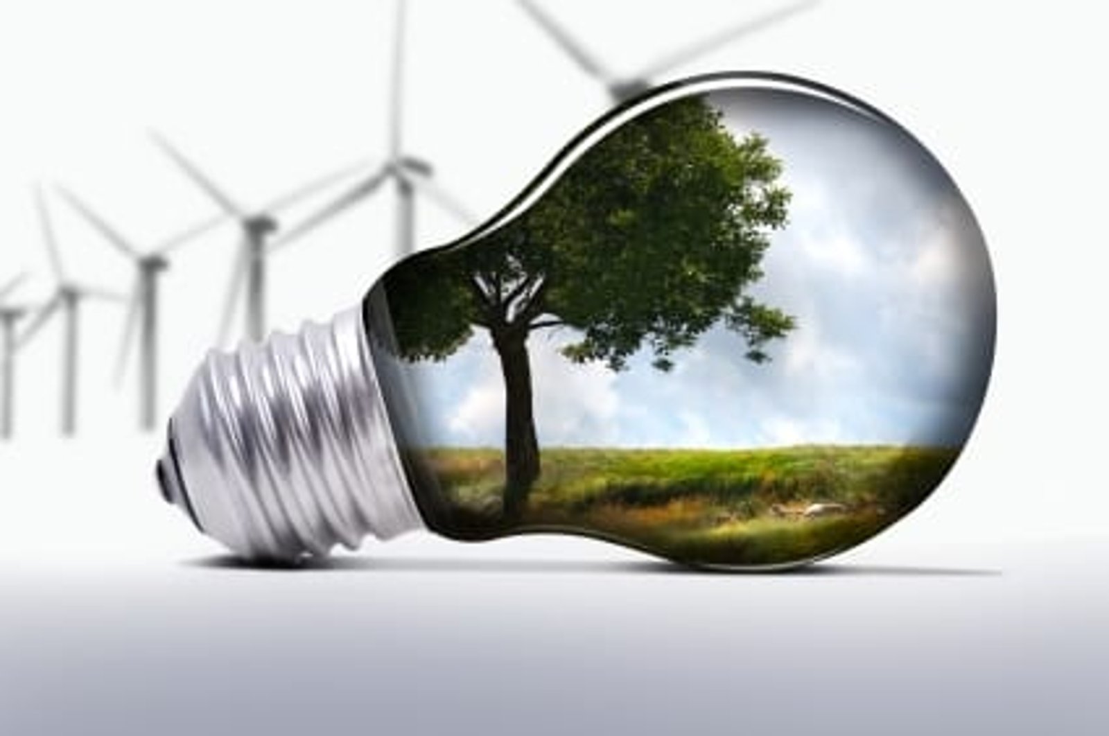 [Ramadan Series] 5 Steps To Go Green This Ramadan