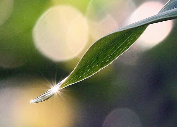 Ramadan as a Catalyst for Change