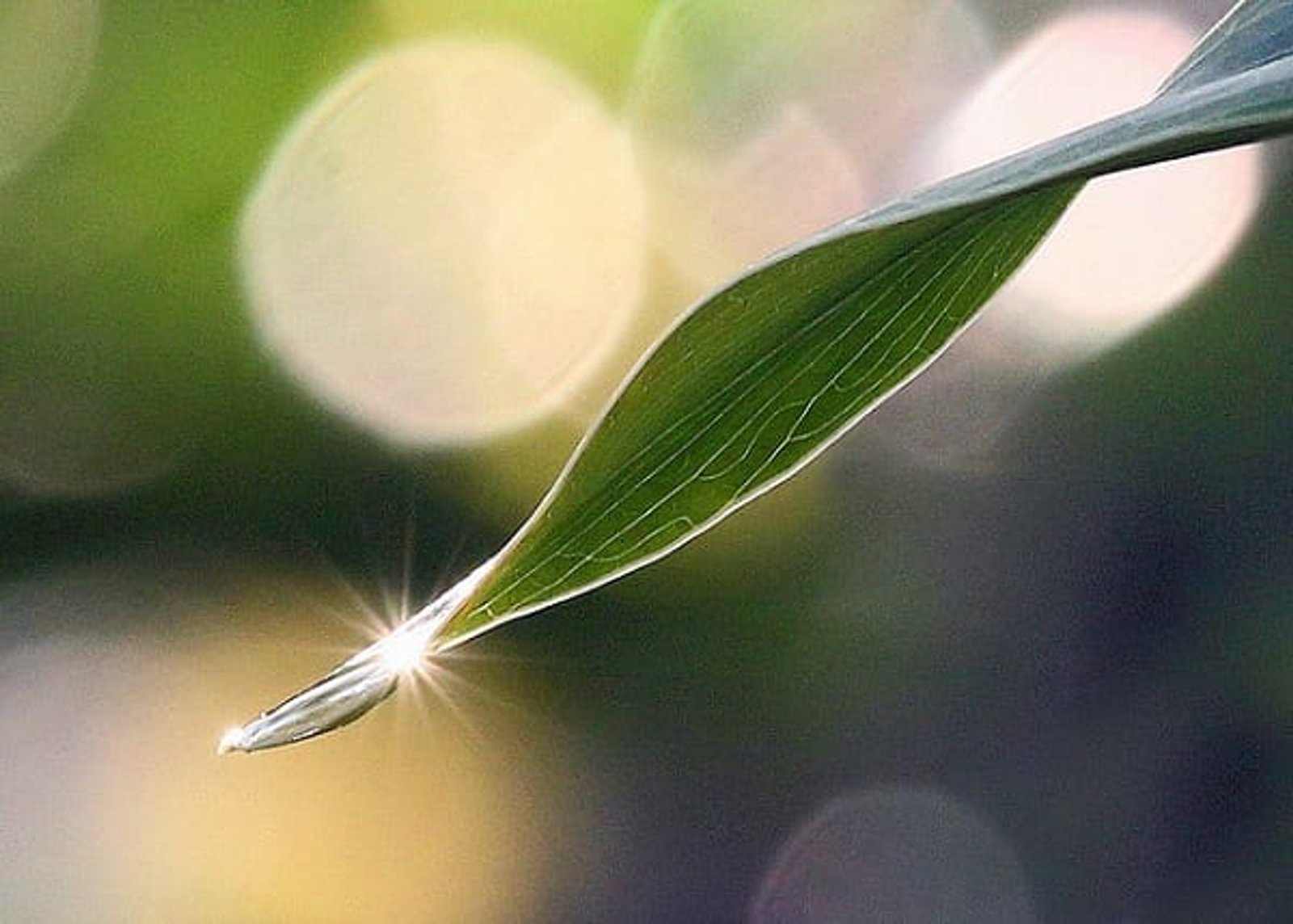 Ramadan as a Catalyst for Change
