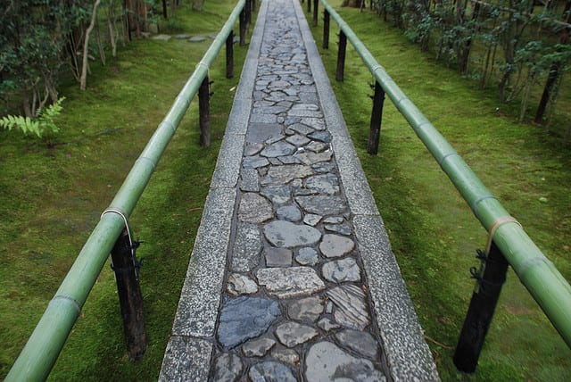 A Guide to Choosing a Profession That Benefits You and the Ummah