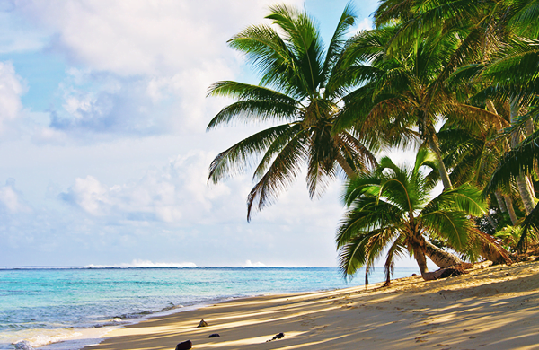 [Productive Youth] How to Make the Best of Your School Holidays