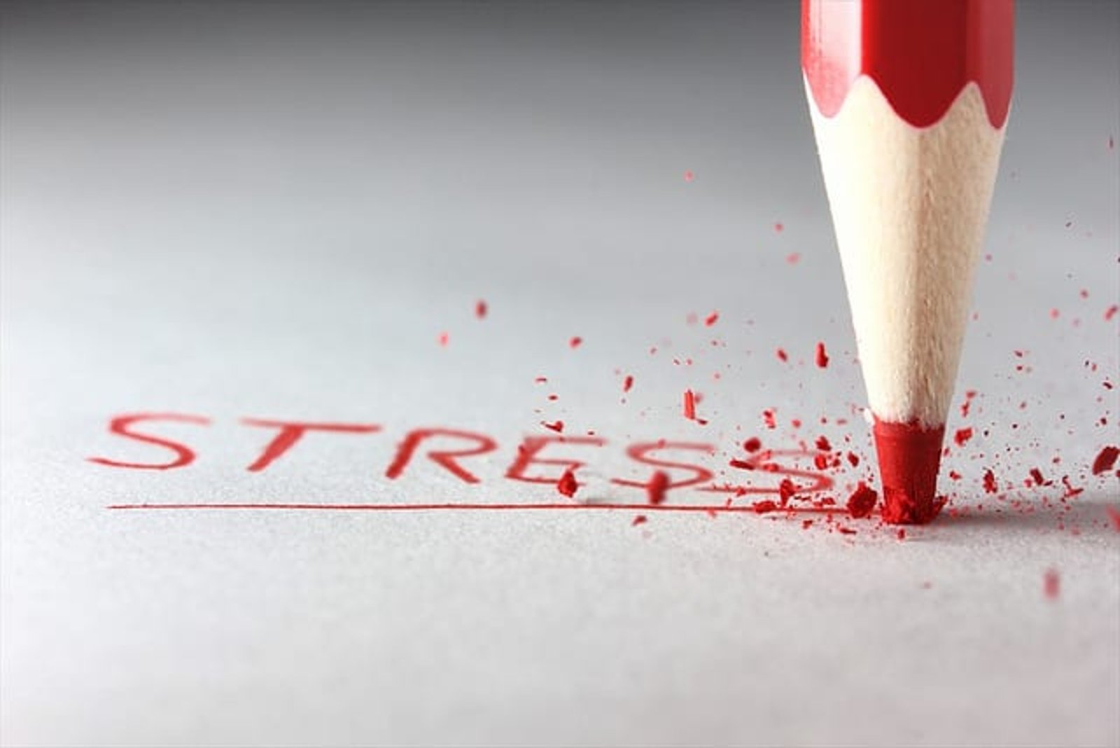 5 Stress Busters to Enhance Your Productivity