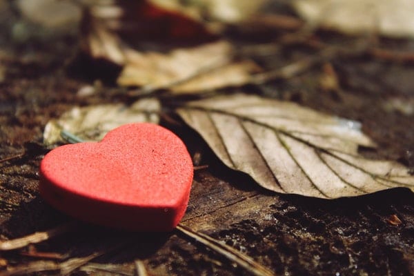 The Easiest Way to Beautify Your Heart and Character