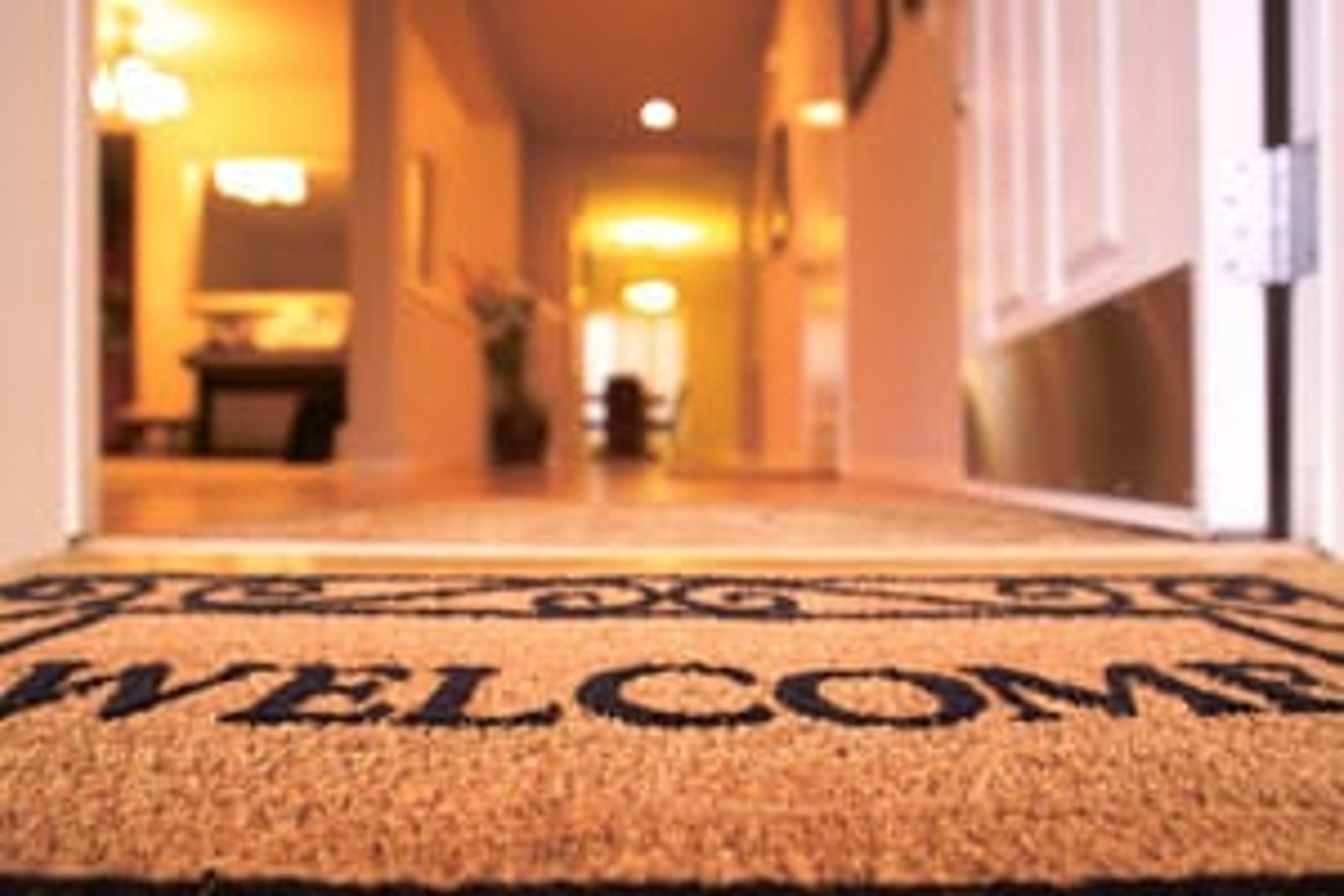 How to be a Productive Student Flatmate