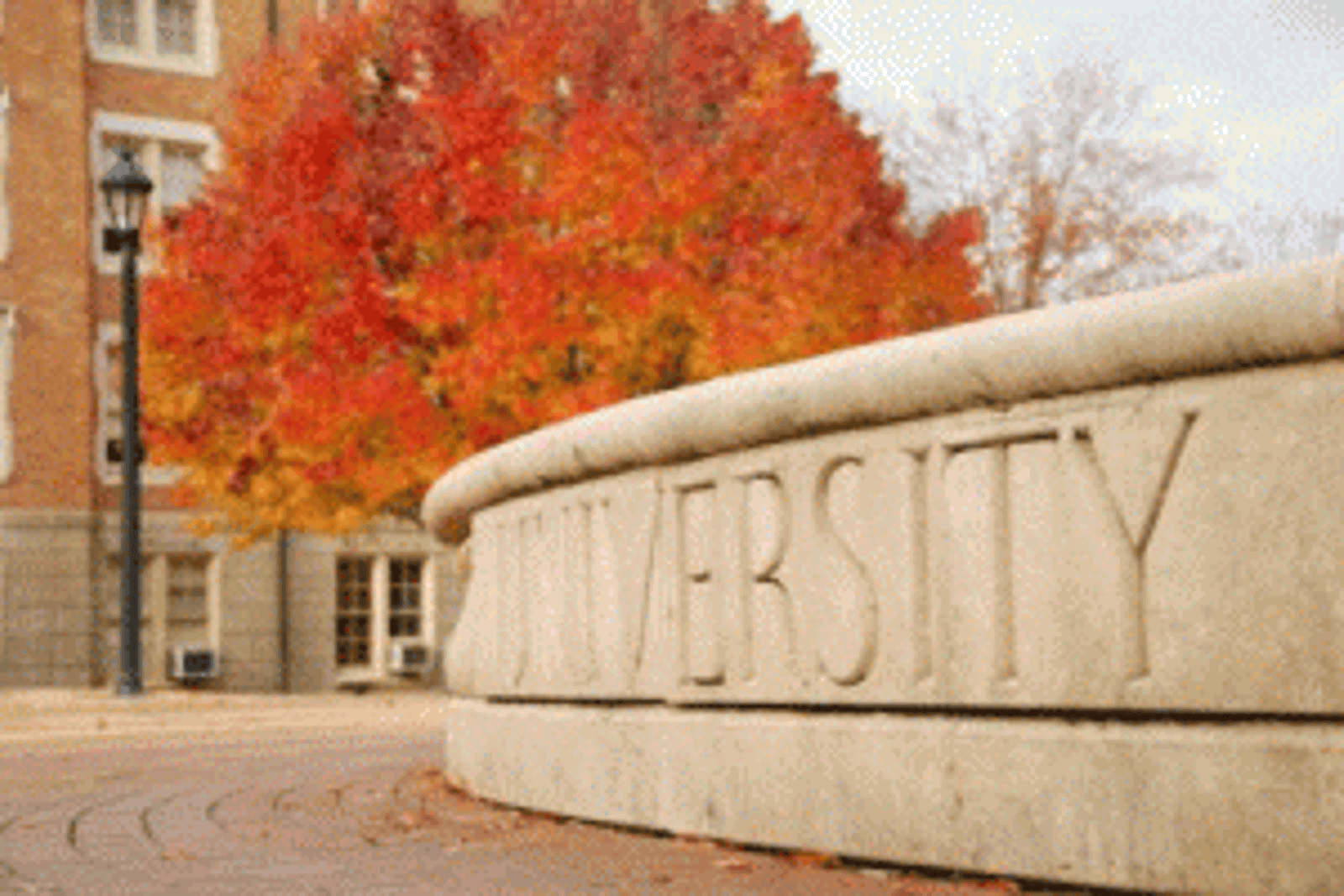 Battling The Nafs (Base Desires) In The University Environment